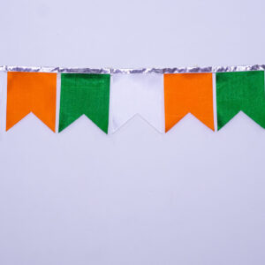 Flag Shaped Tricolour Bunting