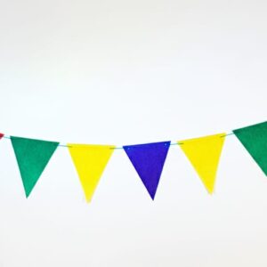 Rainbow Bunting